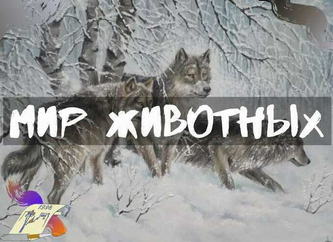 Мир животных Купить картину с животными